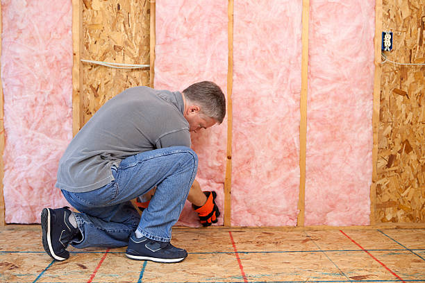 Best Basement Insulation  in Randallstown, MD